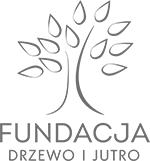 logo fundacji drzewo i jutro (rysunek drzewa)